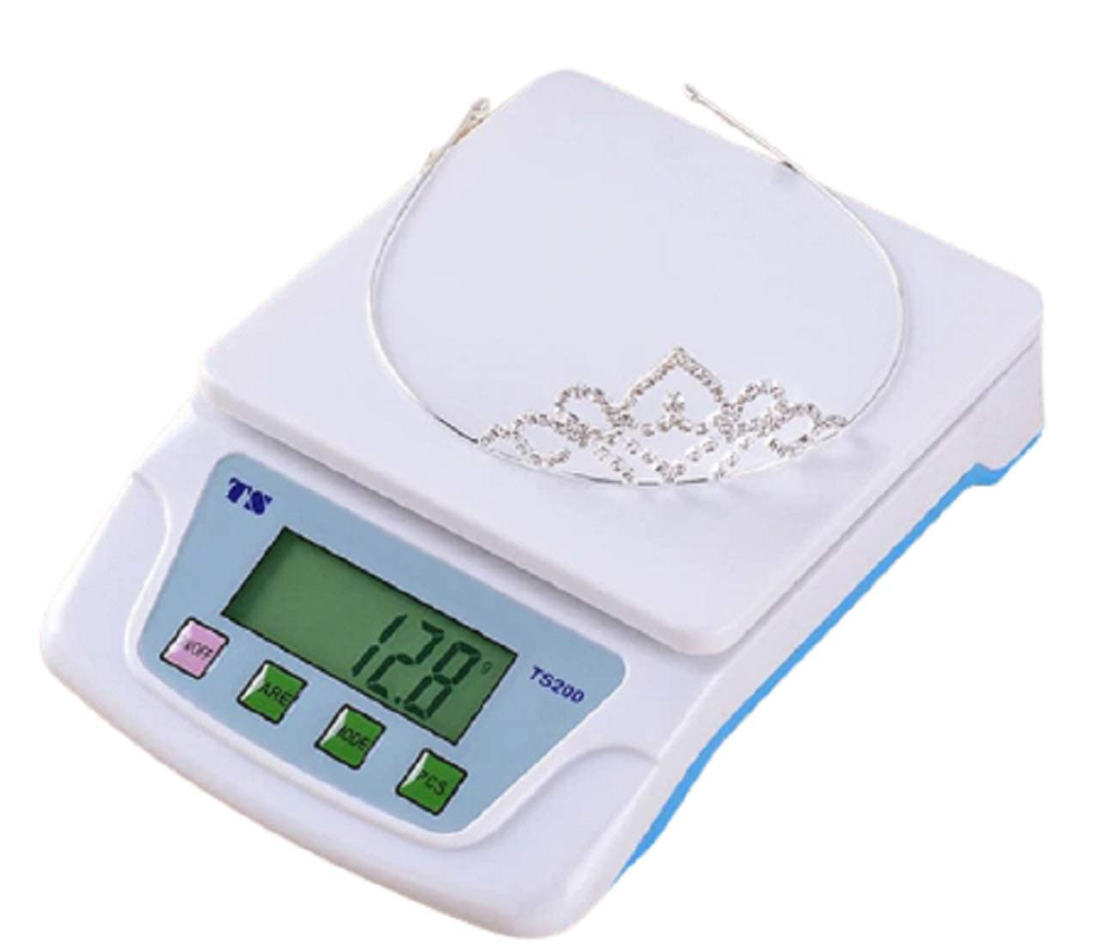 TS-200 Digital Scale